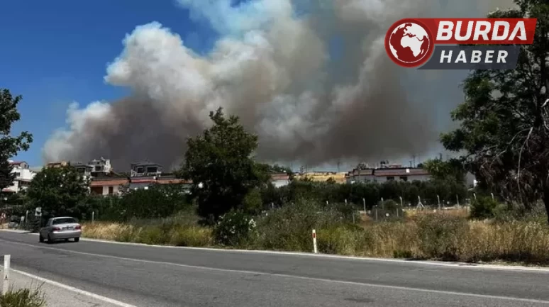 Çeşme’de çıkan yangın rüzgarın da etkisiyle geniş bir alana yayıldı.