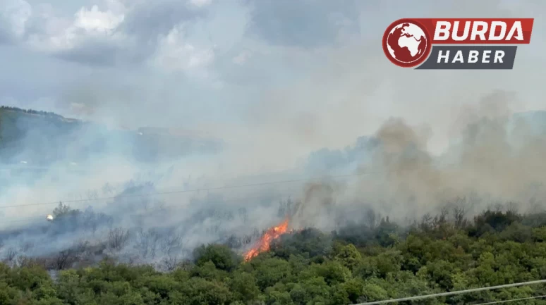 Kocaeli’de çıkan orman yangınına müdahale sürüyor.