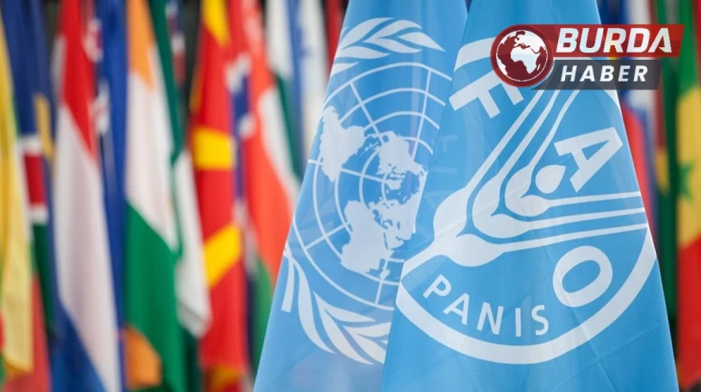 Dışişleri Bakanlığı: "Türkiye FAO Konseyi üyeliğine seçildi"