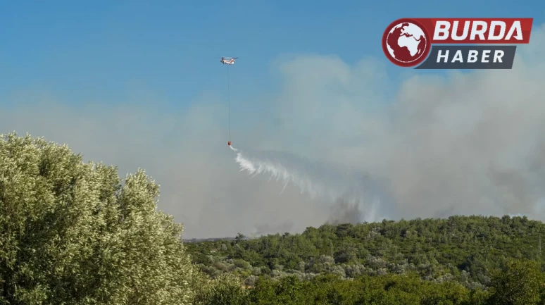 Çeşme ve Ödemiş’teki orman yangınları devam ediyor.