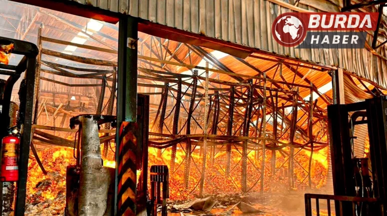 Tayland’da kağıt fabrikasında yangın: 8 kişi öldü