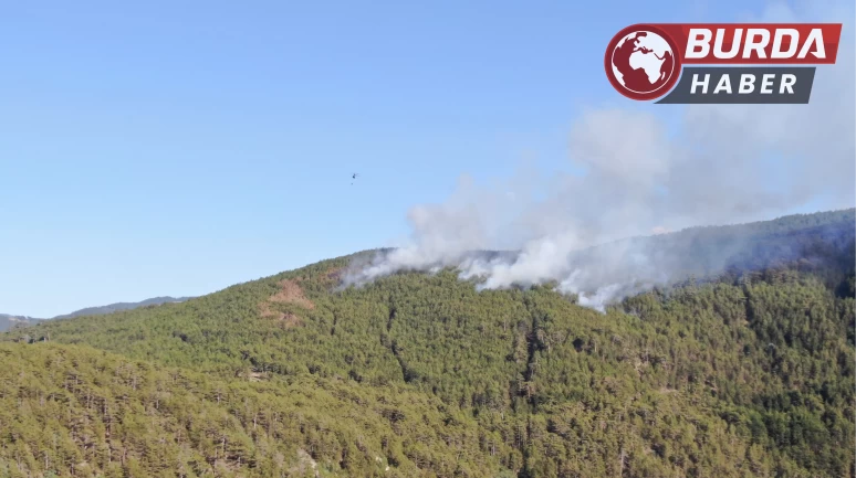 Çankırı-Kastamonu sınırındaki orman yangınının çıkış anı kamerada!