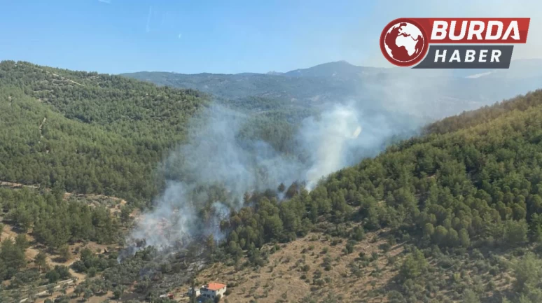 Bursa’da havai fişekle yangın çıkaran 4 şahıs yakalandı.