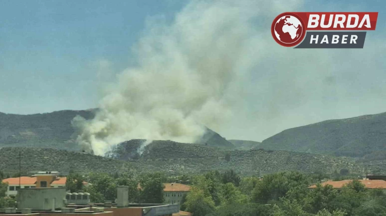 Yangınlar bu defa Selçuk’a sıçradı, karadan müdahale yapılıyor.