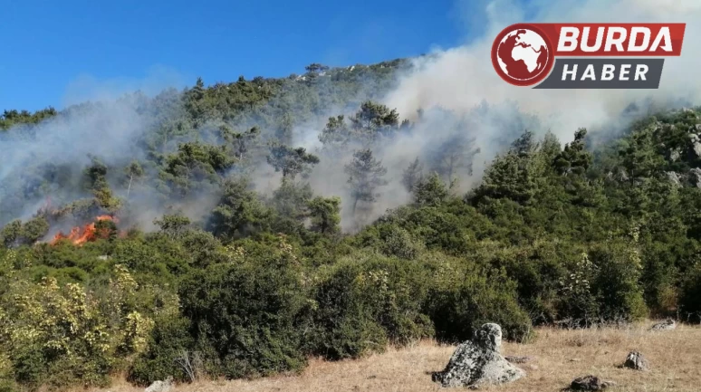 Manisa’daki orman yangınlarına bir yenisi daha eklendi.