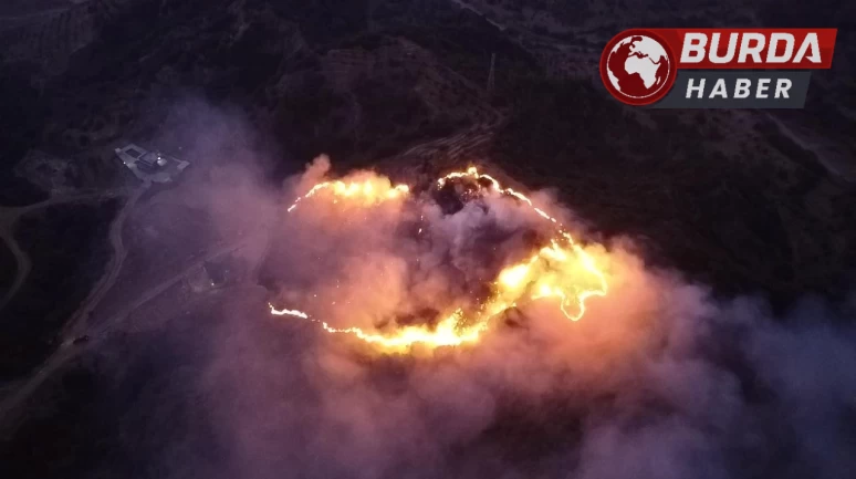 Manisa'da yastığındaki keneyi yakmak isterken ormanı yaktı.