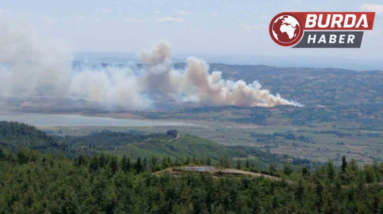 Kahramanmaraş'ın Kıyıkcı köyünde ormanlık alanda yangın çıktı.