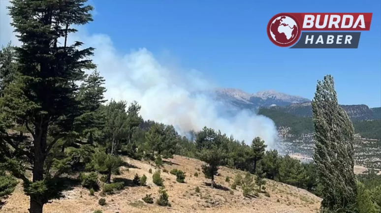 Isparta’nın Sütçüler ilçesinde ormanlık alanda yangın çıktı.