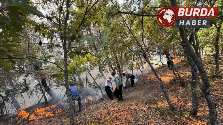 Adana Feke’de orman yangınına ekiplerin müdahaleleri devam ediyor.