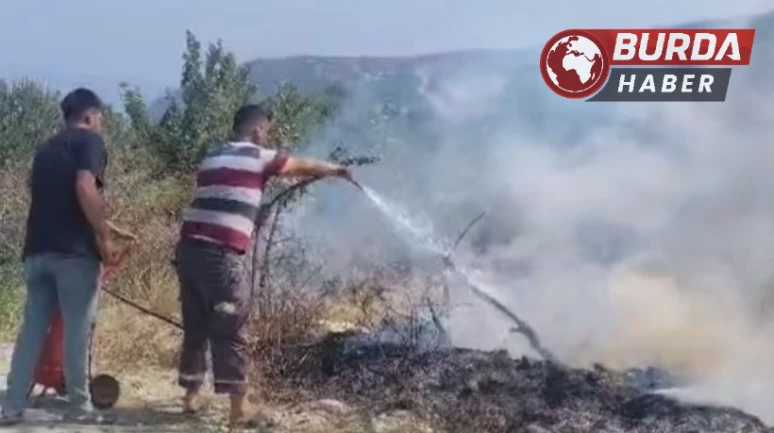 Hatay’da aşırı sıcaktan kopan elektrik teli yangına neden oldu.