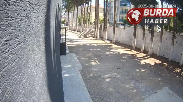 Başkan, taş döşemek istemeyen zabıtaları sopayla dövdü
