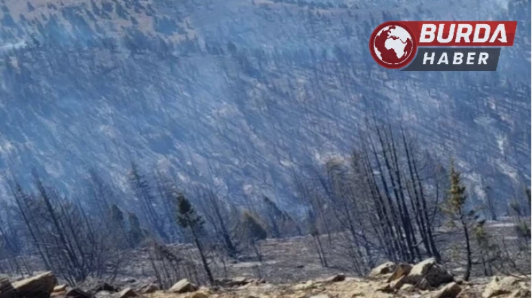 Kahramanmaraş’taki orman yangını ile mücadele sürüyor.