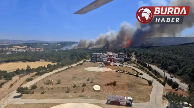 Çanakkale’de tarım arazisinde başlayan yangın ormana sıçradı.