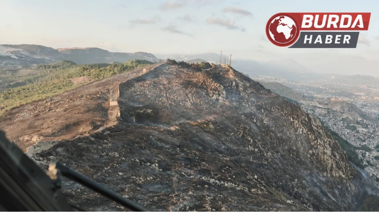 Orman yolunda benzinle yakalandı: Ev hapsine çarptırıldı