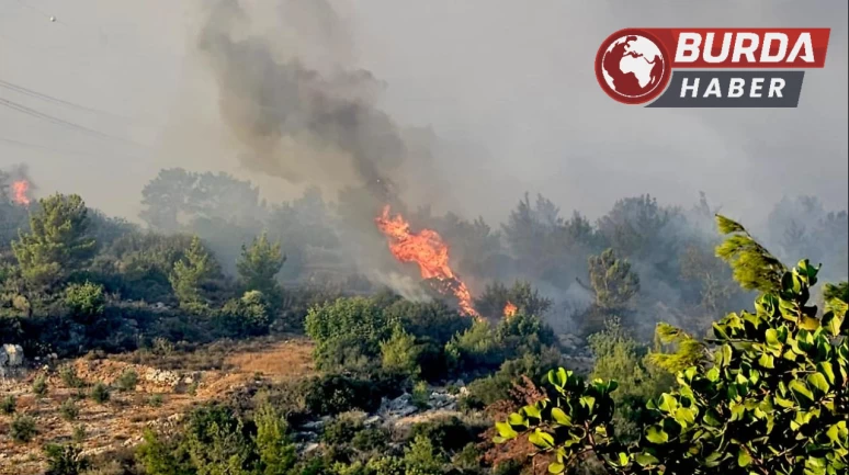 Mersin’in Silifke ilçesinde dün başlayan orman yangını devam ediyor.
