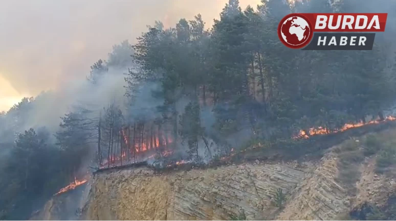 Bolu’da orman yangını başladı: Havadan ve karadan müdahale ediliyor.