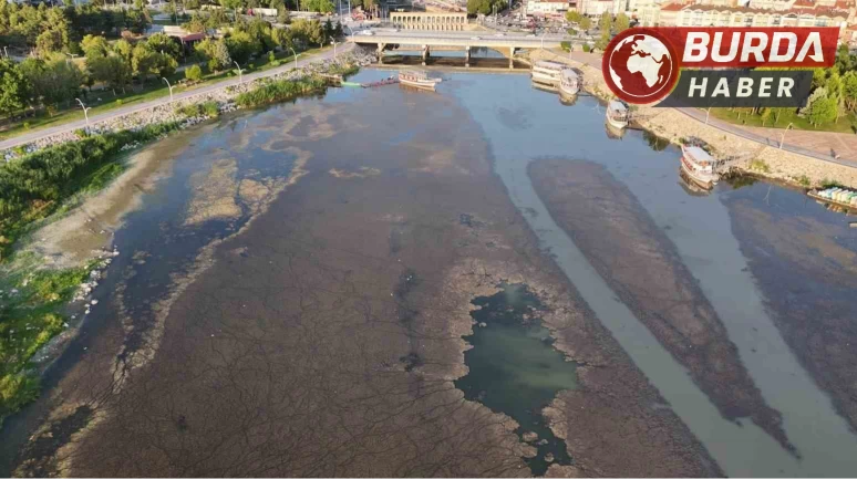 Beyşehir Gölü’nde sular çekildi, yeni adalar gün yüzüne çıktı.