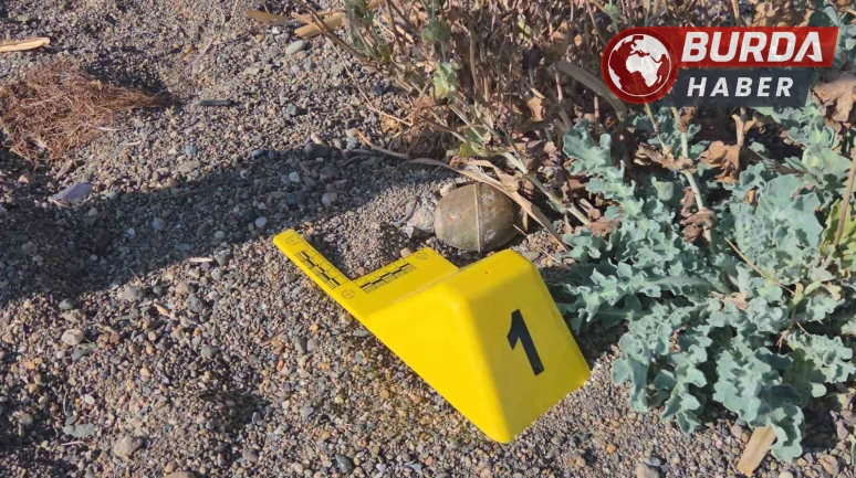 İznik Gölü kıyısında bulunan el bombası paniğe neden oldu.