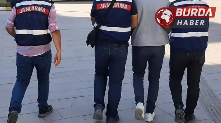3 Konteynere iklimlendirme sistemi kurup uyuşturucu yetiştirdiler.