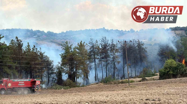 Osmaniye’nin Sumbas ilçesinde orman yangını başladı.