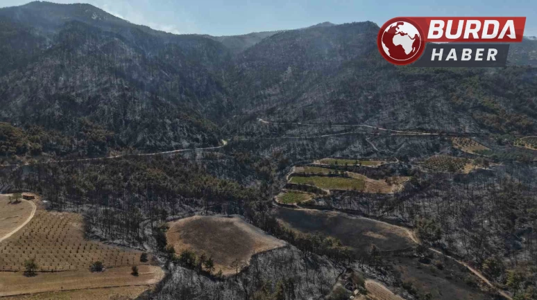 Buldan’da zorlu arazi şartları yangına müdahaleyi güçleştiriyor.