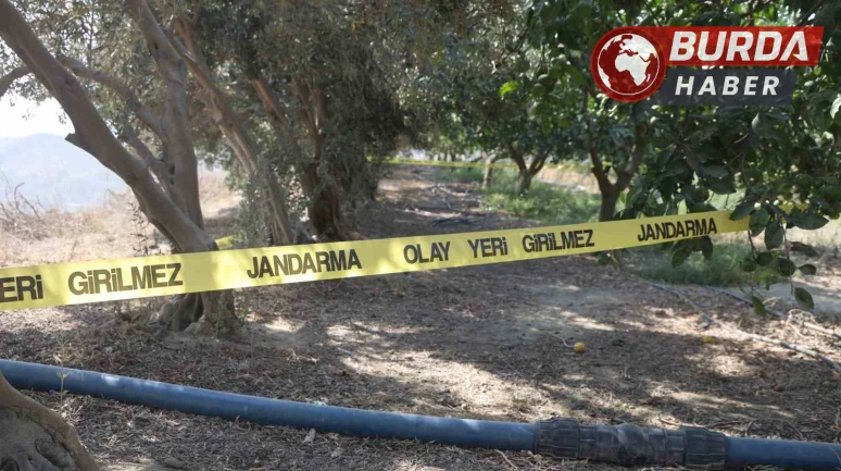 Arkadaşını narenciye bahçesinde satırla doğrayan şahıs yakalandı.