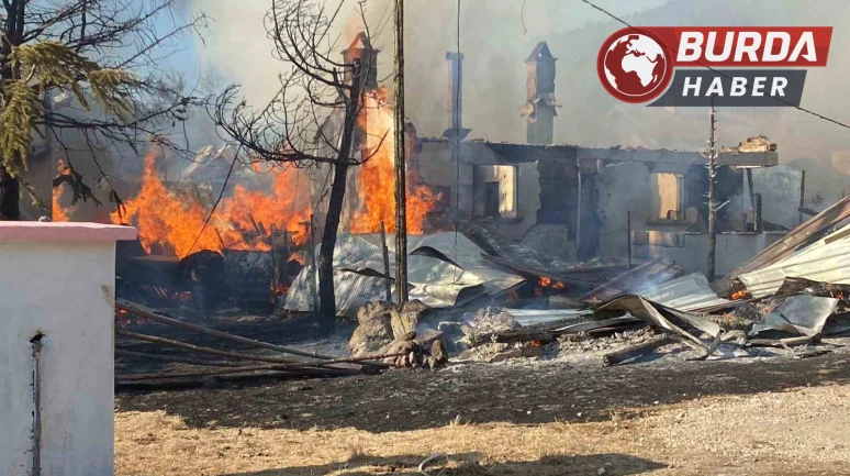Aşağı Soku Yaylası’nda 12 yapı küle döndü: Kundaklama şüphesi