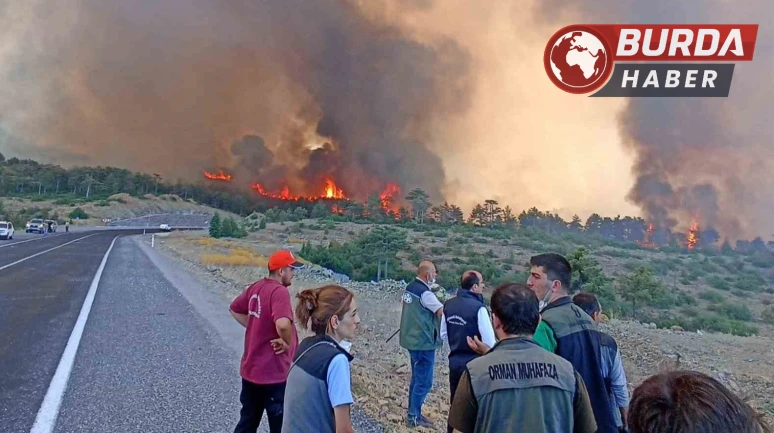 FETÖ Üyesi Astsubay Orman Yangınlarını Kasten Çıkarmakla Yargılanıyor
