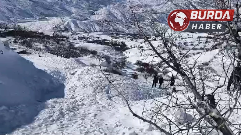 Batman'da Meydana Gelen Çığ Faciasında 45 Küçükbaş Hayvan Telef Oldu