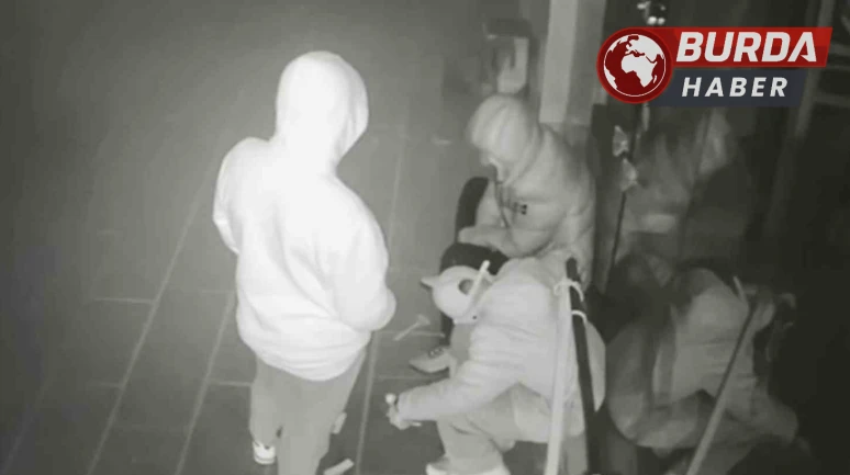 Gece Yarısı Rahatlıkla Hırsızlık Yapan 3 Şahıs Kameralara Yakalandı