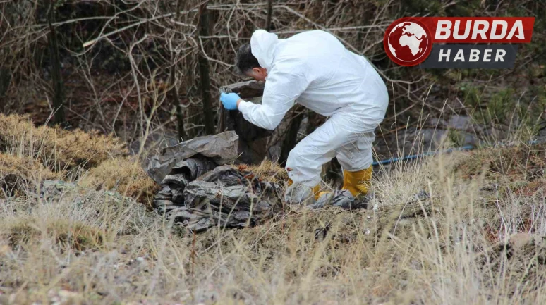 Çorum'da Kayıp Yaşlı Adamın Cesedi Parçalanmış Halde Bulundu