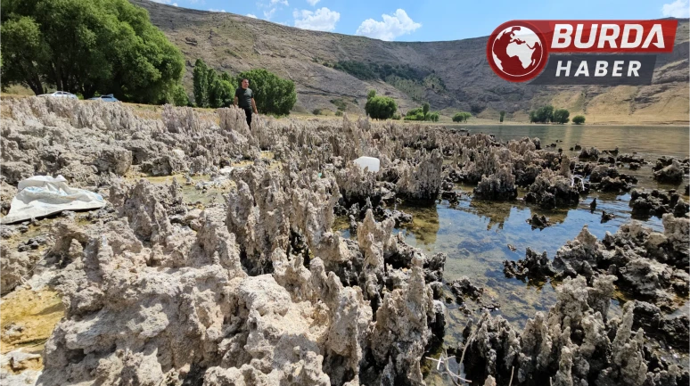 Van Gölü’nün mikrobiyalitleri Guinness yolunda ilk engeli aştı
