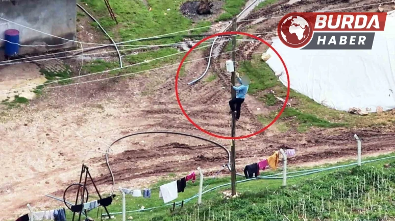 Dronu fark edince kaçak hatları iptal etti