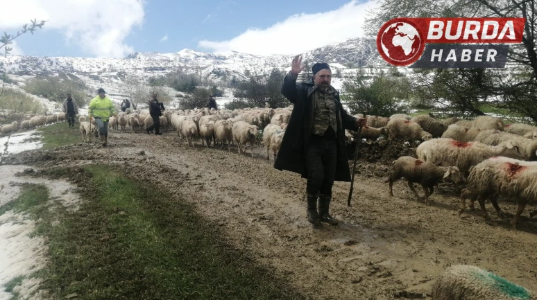Yaylada mahsur kalan çobanlar 30 saat sonra kurtarıldı