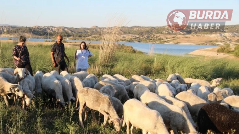 Çobanlık yaparken 2 dil öğrendi, üniversiteyi birincilikle mezun oldu