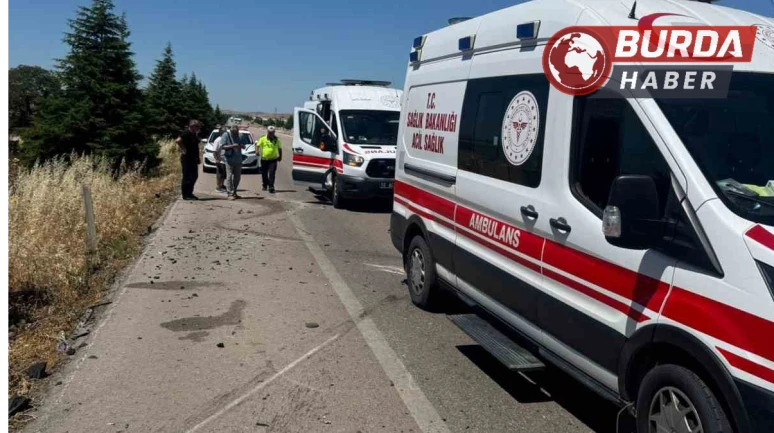 Arının neden olduğu kazada 1 kişi hayatını kaybetti