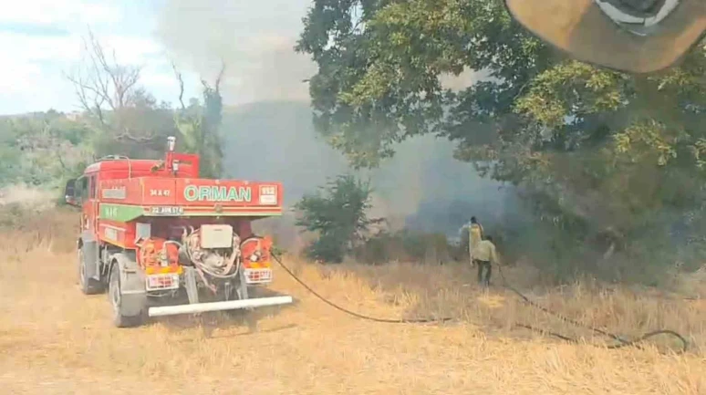 Subaşı'da Ormanlık Alanda Çıkan Yangın Kontrol Altına Alındı