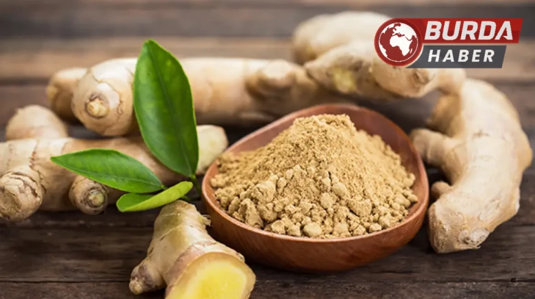 Bahar aylarının doğal  ilacı: Zencefil