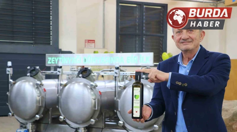 Zeytin üreticilerine müjde: Soğuk sıkımda sıcak sıkım verimi