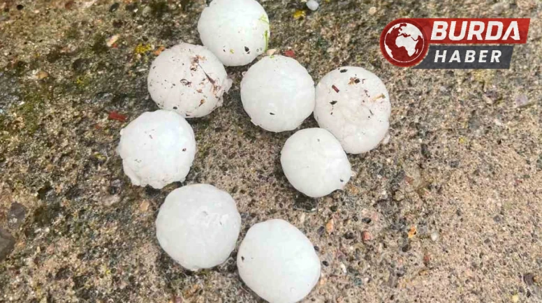 Kayseri'de ceviz büyüklüğünde yağan dolu ağaçlara zarar verdi