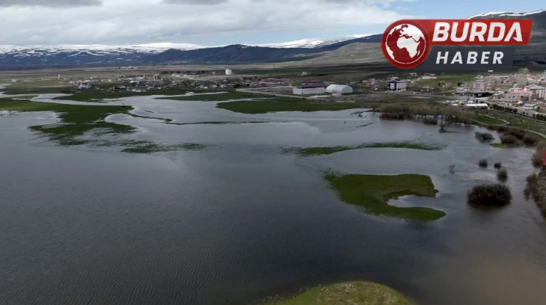 Kura Nehri taştı, tarım arazileri göle döndü