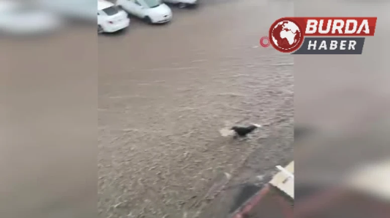 Başkent’te sel sularına kapılan kişiyi kurtarma çabaları