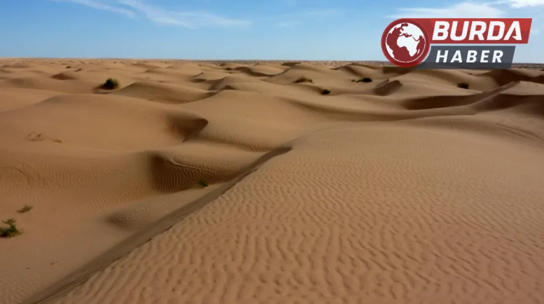 Sahara Çölü’nde 50 kişi susuzluktan hayatını kaybetti
