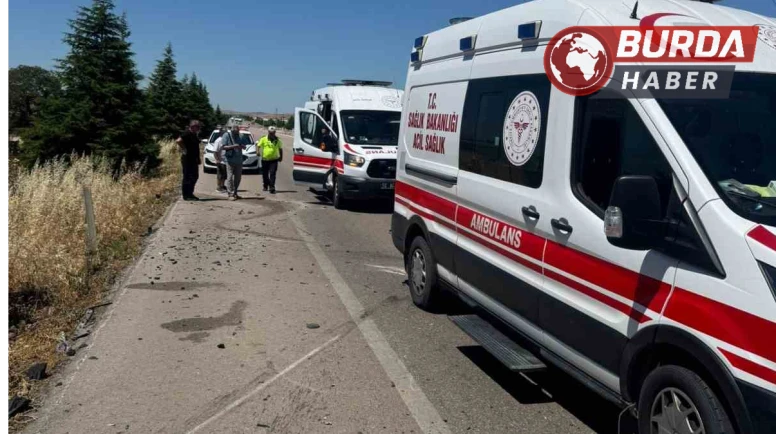 Arının neden olduğu kazada 1 kişi hayatını kaybetti