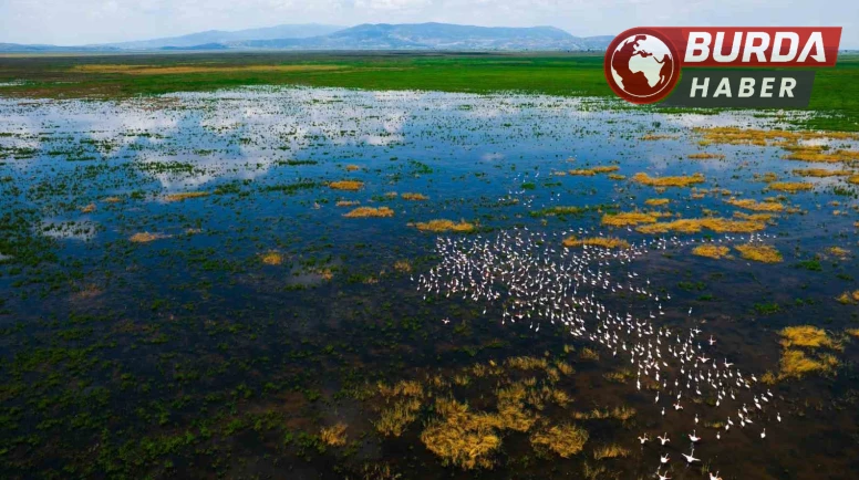 Marmara Gölü su sporcularının ilgi odağı oldu