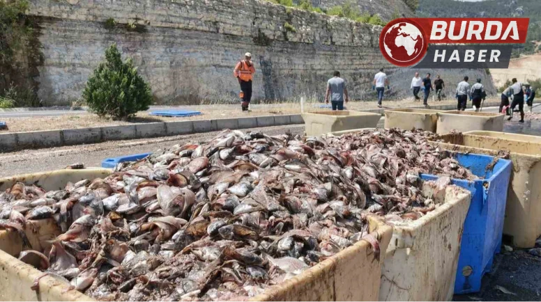 Mersin'de tırın dorsesi patladı, 15 ton balık atığı yola saçıldı