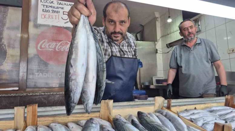 Balık tezgahlarında sezonun favorisi palamut ve hamsi hareketlilik getirdi.