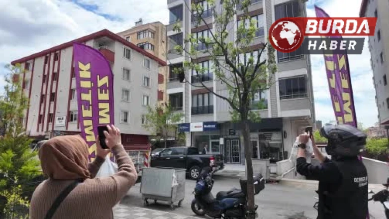 Bahar bereketiyle geldi: Yüzlerce arı şehir içinde yuva yaptı