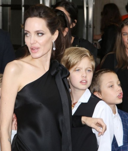 ET Online’a konuşan bir kaynak, ikilinin, Jolie’nin evinde buluşma ayarladığını, bunun, ailece grup terapi almalarından beri ilk yan yana gelişleri olduğunu belirtti.