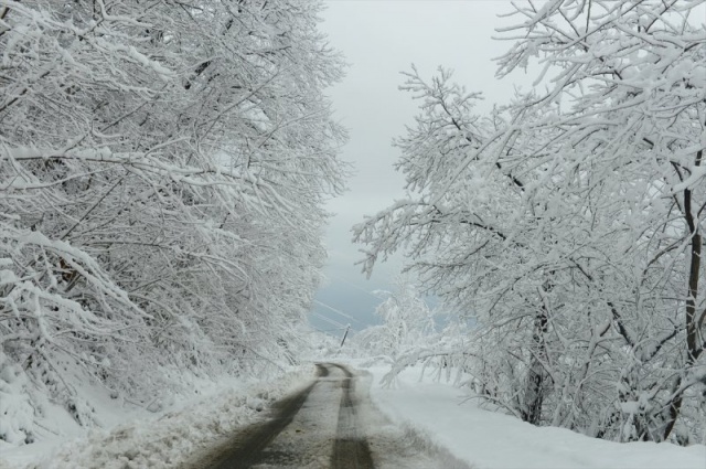 Giresun'u iç kesimlerdeki ilçeleri ile Sivas'la olan karayolu bağlantısı üzerindeki 2 bin 200 rakımlı Eğribel Geçidi'nde de kar yağışı ulaşımı olumsuz etkiliyor.
